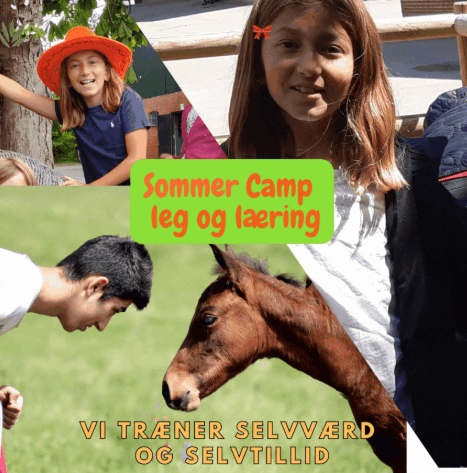 Sommer dagscamp uge 28