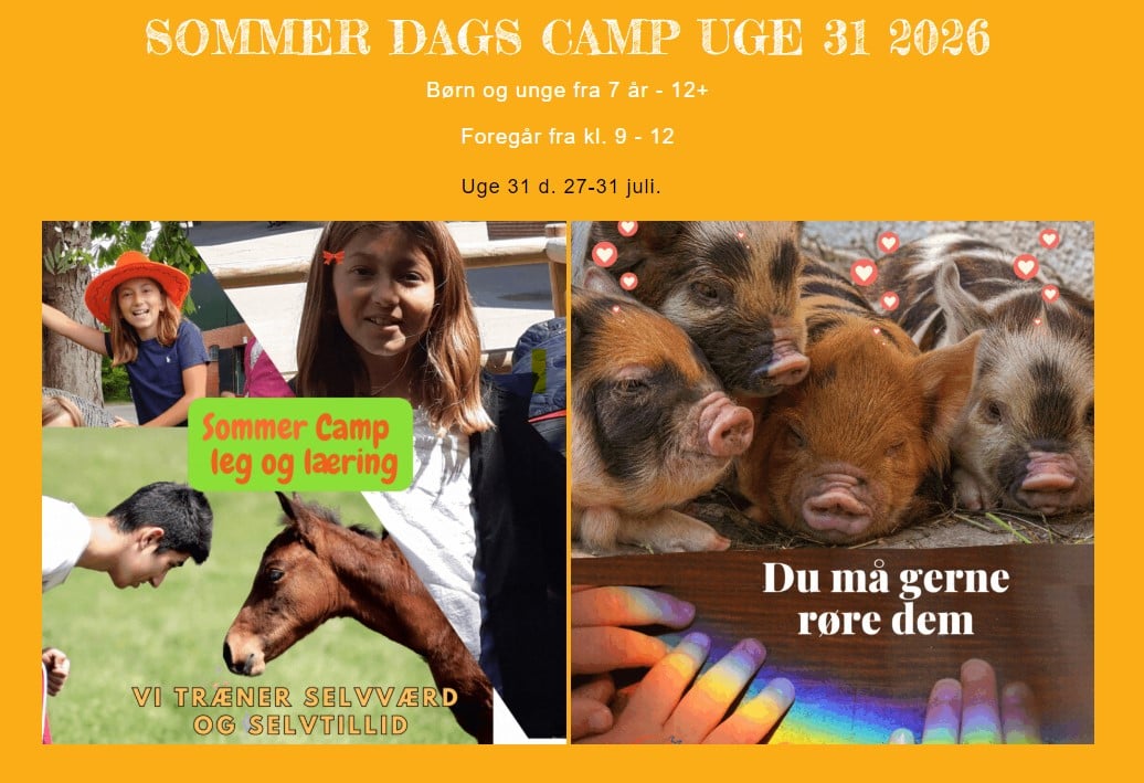 Sommer dagscamp uge 31